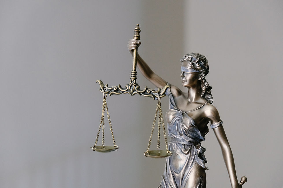 Vat fraud: Interdisciplinary Research on Tax crimes in the European Union